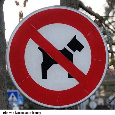Hunde im hiclimb